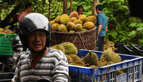 RAJA BUAH