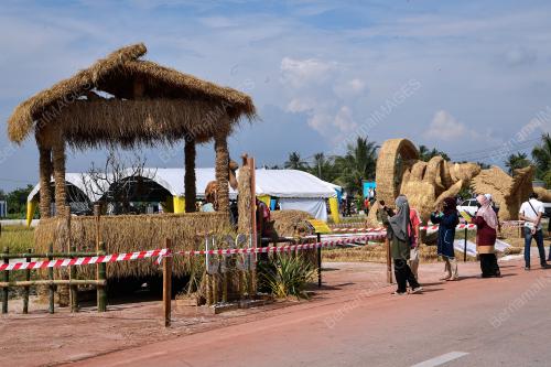 PESTA PADI ANTARABANGSA PULAU PINANG