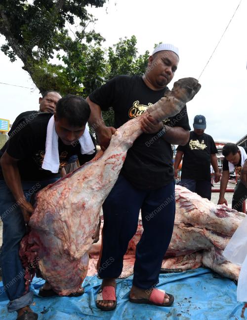 PG06_22082018_DAGING_LEMBU_BN201808196203