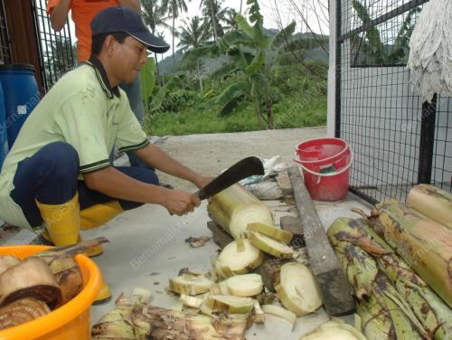 SULAIMAN RAMLI