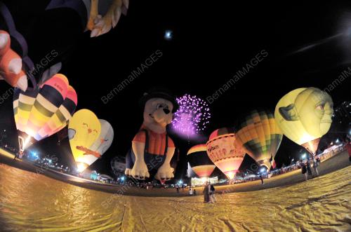 PG06_24022018_BUNGA_API
