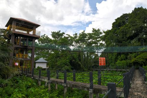 HUTAN PAYA AIR TAWAR