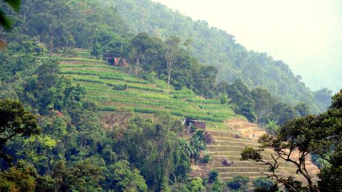 PG06_24112014_BUKIT_KEBUN