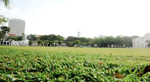 PG06_26042016_HIJAU