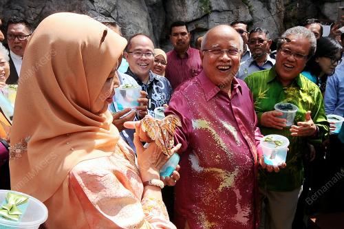 PG06_28032017_KUPU_KUPU