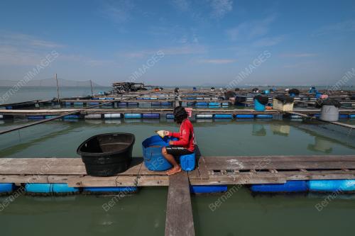 SANGKAR IKAN