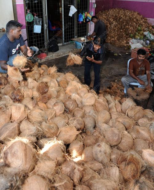 PG07_01022012_PUSAM_KELAPA