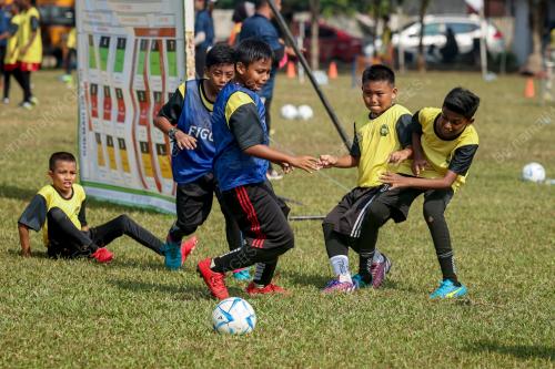 PROGRAM FIFA