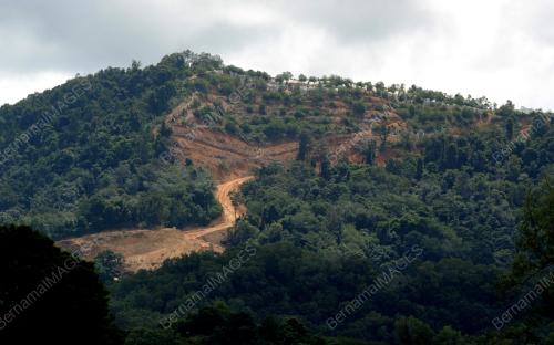 PG07_04082015_DITEROKAI