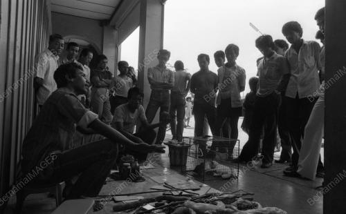 PG07_05022015_HAIWAN