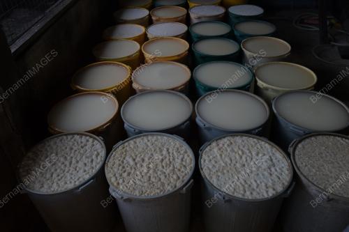 BEDAK SEJUK