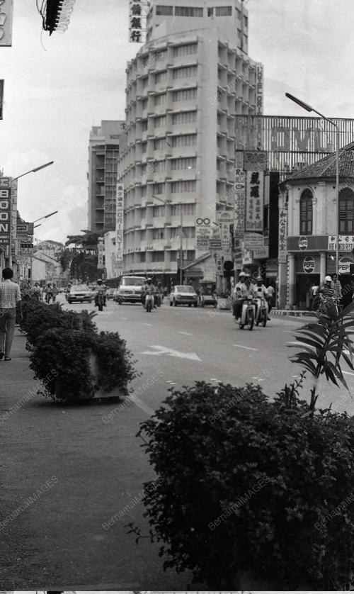 POKOK HIASAN