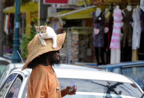 PG07_06062013_PENGEMIS_KUCING