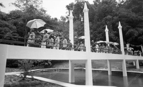 PG07_08052019_KEBUN_BUNGA