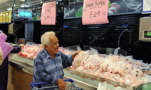 PG07_08072015_BELI_AYAM