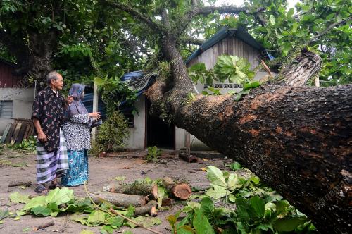 PG07_09052019_POKOK