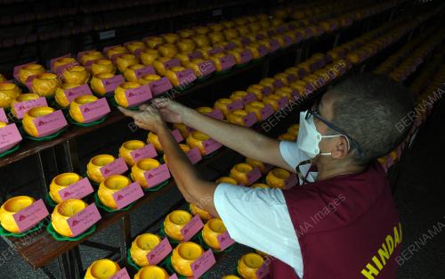 PERSIAPAN HARI WESAK