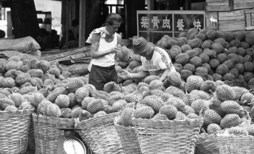 PG07_09072015_MUSIM_DURIAN