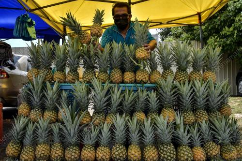 PENIAGA BUAH NANAS