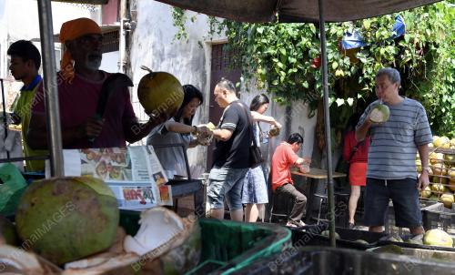 PG07_12022019_BUAH_KELAPA_BN201902100118
