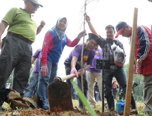 PG07_12092015_HILMI_POKOK