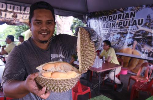 BALIK PULAU SYURGA DURIAN