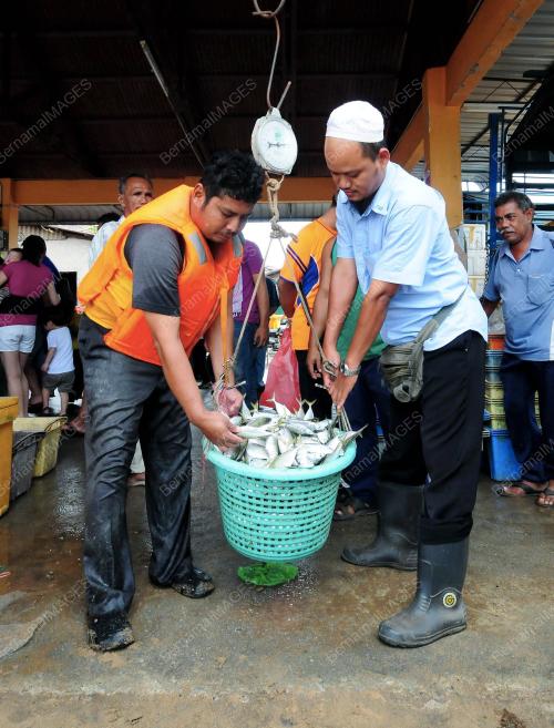 PG07_14022013_HARGA_IKAN