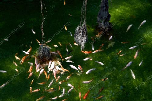 PG07_14112019_SIA_BOEY_BN201911137621