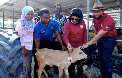 GERAN BANTUAN KERAJAAN