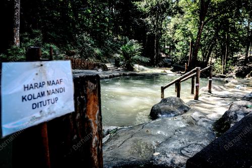 TAMAN RIMBA TELUK BAHANG