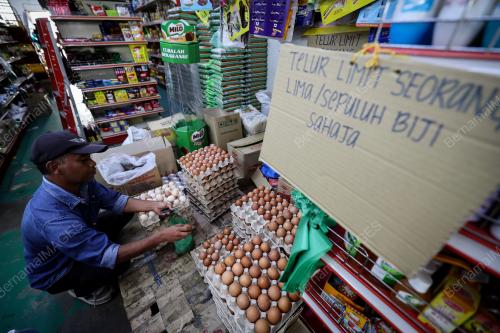 TELUR AYAM