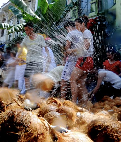 PG07_16012014_KELAPA_PUSAM