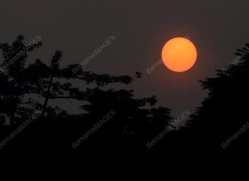 PG07_17092019_MATAHARI