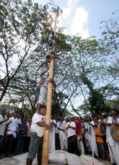 PESTA PONGGAL