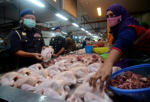 KPNHEP_PEMANTAUAN HARGA AYAM