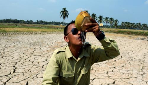 PG07_21032016_AIR_KELAPA