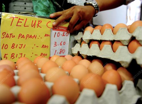HARGA TELUR NAIK