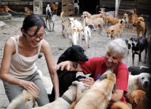 PG07_22092015_BARBARA_ANJING