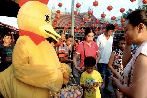 PG07_28012017_AYAM_CINA