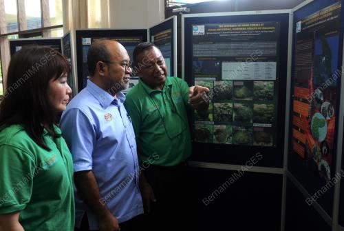PG08_03102017_PAMERAN_BN201710027182
