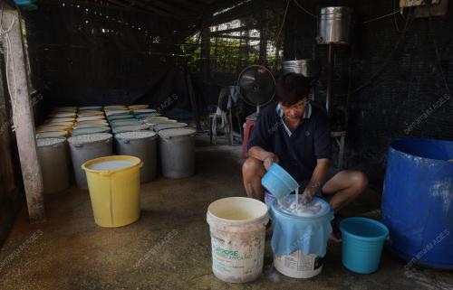 BEDAK SEJUK