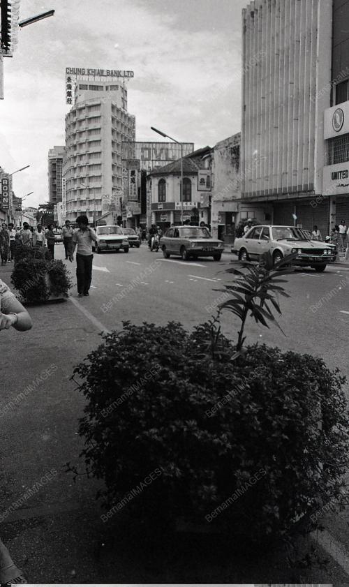 POKOK HIASAN