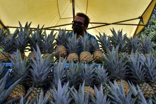 PENIAGA BUAH NANAS