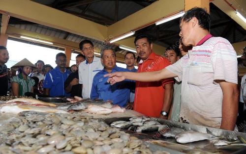 PG08_12042015_TPM_IKAN
