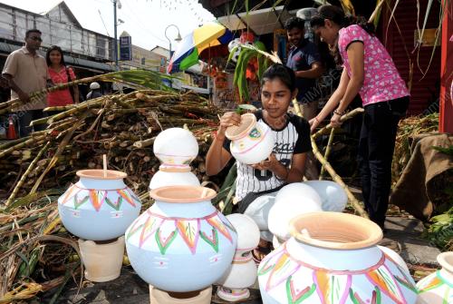 PG08_14012015_PERSIAPAN_PONGGAL