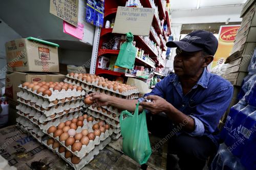 TELUR AYAM
