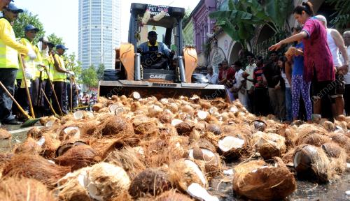 PG08_16012014_MPPP_KELAPA