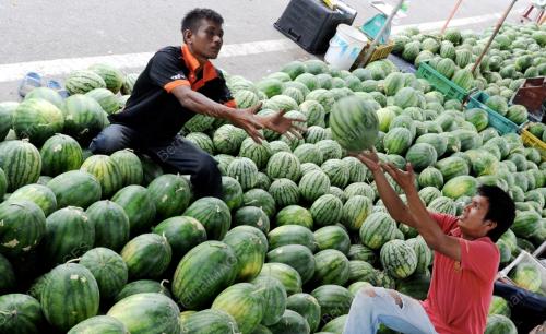 PG08_18022014_BUAH_PANAS