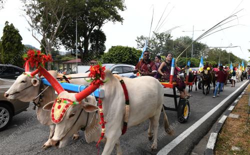 PESTA PONGGAL