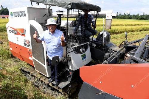 MENTERI PERTANIAN LAWAT JELAPANG PADI